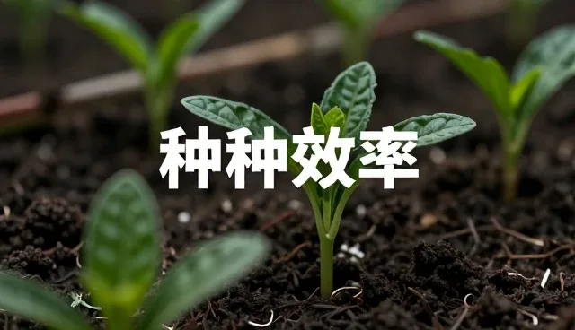 企业运营中常见问题及应对策略解析